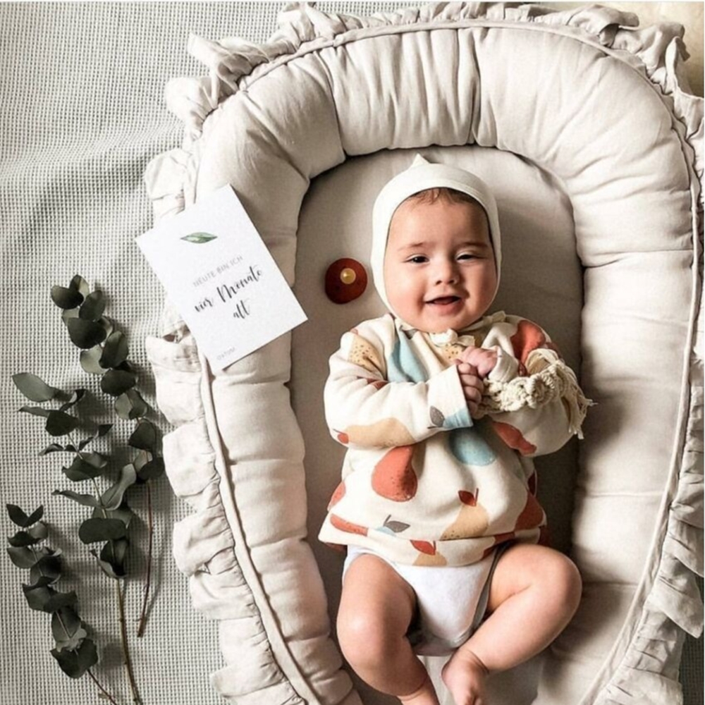 Baby Infant Lounger, Baby Nest - Baby Food Nestum のレビューと価格